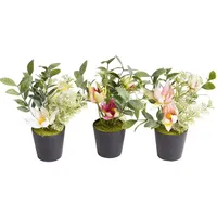 Botanic-Haus TESTEL künstliches Christrosen-Arrangement im schwarzen Kunststofftopf«, orange