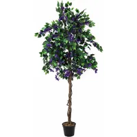 Europalms Bougainvillea, lavendel, 150cm