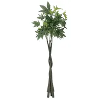 Europalms Pachirabaum, 160cm