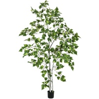 Europalms Birkenbaum, 180cm