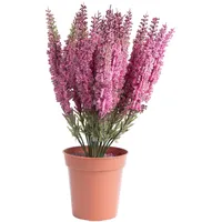 Botanic-Haus Erika in braunem Kunstofftopf«, pink,