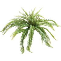 Botanic-Haus Künstliche Zimmerpflanze Farnbusch Farn, Botanic-Haus, Höhe 38 cm