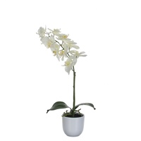 Mica decorations Mica Kunstpflanze Phalaenopsis im Topf weiß, 60