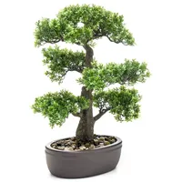 Botanic-Haus Kunstbonsai Ficus Bonsai grün