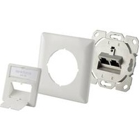 Renkforce Netzwerkdose Unterputz Einsatz CAT 6a 2 Port Weiß