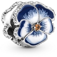 Pandora Moments Silber 790777C02