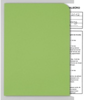ELCO Sichthüllen Ordo discreta DIN A4 grün glatt 120