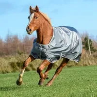 Bucas Smartex Rain 0g Regendecke 140 cm Grau/Silber