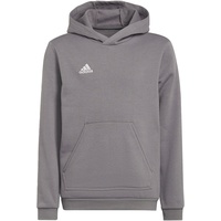 Adidas Entrada 22 Sweat Hoodie Kinder grau 164