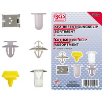 BGS Kfz-Befestigungsclip-Sortiment für Renault 9048, 300-tlg.
