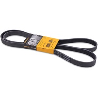 Continental CONTITECH Keilrippenriemen