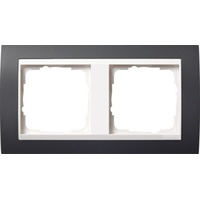 Gira Abdeckrahmen 2f.anth für rws Event 0212328