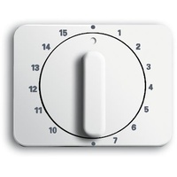 Busch-Jaeger Zentralscheibe stws gl 1770-24G-101