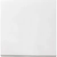 Gira Wechselschalter 029627