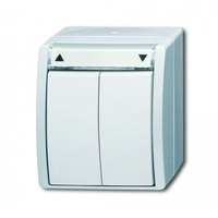 Busch-Jaeger Jalousietaster 2621/4 W-54