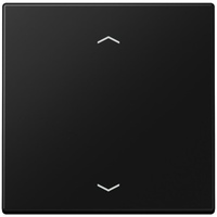 Jung Steuertaste Standard LS 1700 P SWM