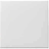 Gira Wippschalter rws-matt 091627