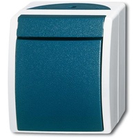 Busch-Jaeger Taster 2621 W-53