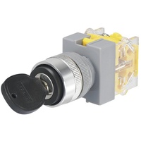 TRU Components 704509 Y090-A-20Y/31 Schlüsselschalter 250 V/AC 5 A