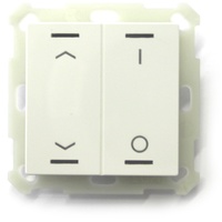 MDT Taster Light 55 2-fach RGBW, rws/glä BE-TAL5502.C1