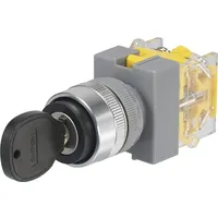 TRU Components 704536 Y090-A-20Y/33 Schlüsselschalter 250 V/AC 5 A