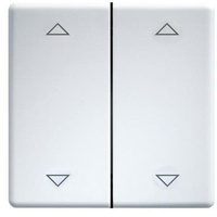 Eltako DW-FT55-rw+2P