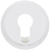 Berker Zentralstück polarws/gl 15072089