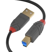 Lindy USB 3.2 Typ A an B Kabel, Anthra