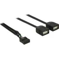 DeLock USB-Kabel USB 2.0 USB-Pfostenbuchse, USB-A Buchse, USB-A Buchse