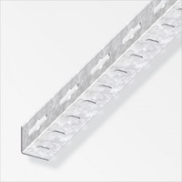 Alfer - Winkel 23,5 x 23,5 x 1000 mm