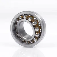 SKF Pendelkugellager 1309 K.ETN9