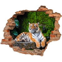 WallSpirit WCB Wandtattoo - Wanddurchbruch mit Aussicht auf Tiger