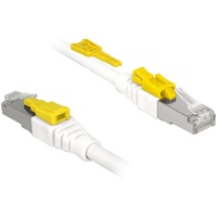 DeLock 85330 RJ45 Cat.6a S/FTP 0.50 m bis RJ-45