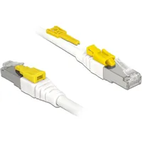 DeLock Patchkabel RJ45 Secure mit Cat.6a