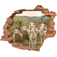 WallSpirit Wandtattoo - Wanddurchbruch mit Aussicht auf Schafe 70