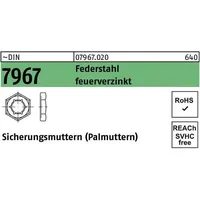 Industrial Quality Supplies DIN 796 Sicherungsmuttern Federstahl M 27