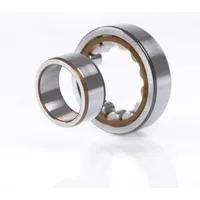 SKF Zylinderrollenlager NU2210 ECP