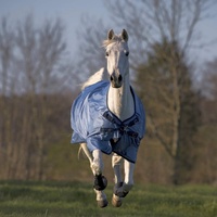 Busse Outdoordecke 50g Windchill Weidedecke Eisblau (Navy) 165 -