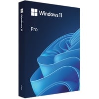 Microsoft Windows 11 Pro USB-Stick DE