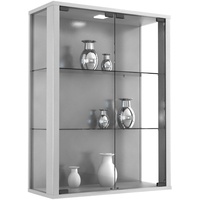 PKline Vitrinenschrank Glas Wandschrank Vitrine Sammlervitrine Hängeschrank silber