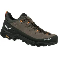 Salewa Alp Trainer 2 GTX Herren Bungee Cord/Black 46,5