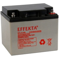 EFFEKTA BTL 12-45L Blei-Vlies Akku AGM VRLA 12V 45Ah