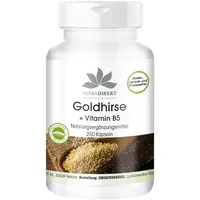 Herba direkt Goldhirse Kapseln - mit Vitamin B5 -