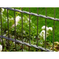 PEDDY SHIELD Doppelstabmattenzaun 3 Matten 0,83 x 6 m