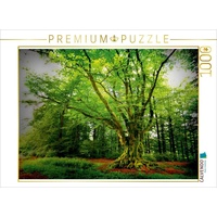 Calvendo Dicke Buche (Krombach, NRW) Puzzle