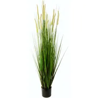 I.ge.a I.GE.A. Kunstpflanze Fuchsschwanzgras im Topf, ca. H150 cm