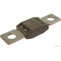 Herth+Buss ELPARTS Sicherung 50295845
