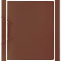 Brunnen Ringbuch FACT!pp braun