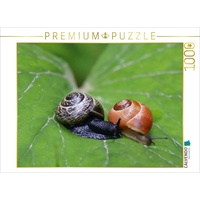 Calvendo Schnecken Liebe Puzzle