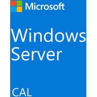 Fujitsu Microsoft Windows Server 2022 10 Benutzer CALs